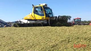 Une surfaceuse pour lensilage [upl. by Lehteb]