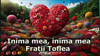 Fratii Toflea  Inima mea inima mea [upl. by Rainah]