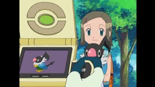 Chatot Pokédex Entrieswmv [upl. by Keir51]