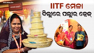 ‘ମିଶନ ଶକ୍ତି’ ମହିଳାଙ୍କ ଷ୍ଟଲ୍‌  Mission Shakti Stall IITF 2024 [upl. by Zeuqirdor]