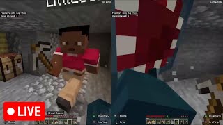 Minecraft SplitScreen Hardcore 1 [upl. by Ttenneb]