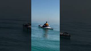 stleathkayak kayakfishing kayak uae fish viralvideo bestfishingkayak tightlines shimano [upl. by Saire]