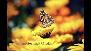 Schmetterlings Orakel 🦋 [upl. by Yellac626]