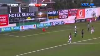 Todos los Goles de Saprissa Torneo de Verano 2014 ¡¡Campeón Nacional [upl. by Aidam]