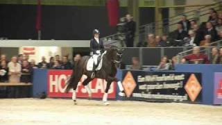 wwwreitschulesandbrinkde Bretton Woods Stallion Show sHertogenbosch 2011 [upl. by Donahue]