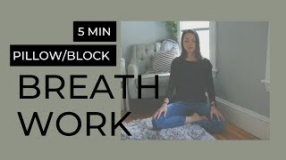 Calming pranayama exercise 5 minutes [upl. by Ailekahs]