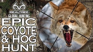 EPIC Coyote Double and Hog Hunting with L3 Outdoors [upl. by Sirrot]