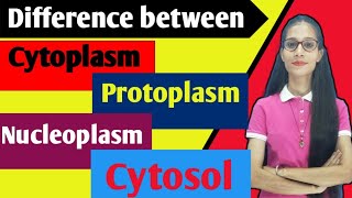 Difference between ProtoplasmCytoplasmCytosol Nucleoplasm  cell apnasapnajrf [upl. by Aikrahs702]