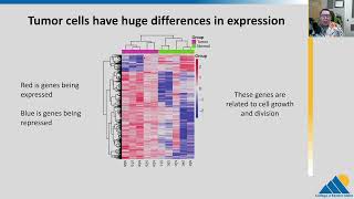 BIOL201 Ch167  Cancer and Gene Regulation [upl. by Penoyer]