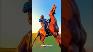 Hippotherapy Иппотерапия hippotherapy horseriding horsevideo horseride sporthorses [upl. by Nomihs]