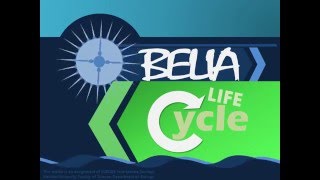 Obelia Life Cycle  SCBI208 Invertebrate Zoology [upl. by Handler]