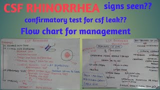 CSF Rhinorrhea [upl. by Nashom]