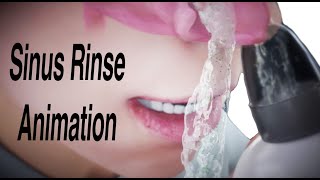 Sinus Rinse Animation [upl. by Ramhaj214]