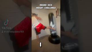 Round Kick Height Challenge shorts [upl. by Anaiad]