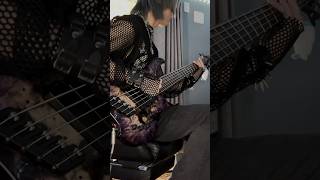 Intervals  nootropic Bass Cover ベース 弾いてみた スラップ bassguitar slap ちいかわ dingwall metalmusic [upl. by Tennies367]