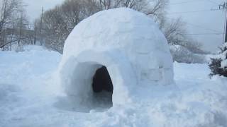 Common Questions About Igloos [upl. by Philipps]