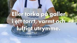 Så torkar du rölleka [upl. by Ajiat]