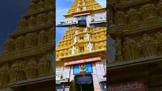 Mysore Dasara Begins Today at chamundeshwari temple youtubeshorts mysoredasara [upl. by Porta]