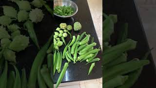 Harvest🏡  Home Growns🌶️🫑🌽 harvest homegrown organic growyourownfood shorts youtubeshorts [upl. by Airyt636]