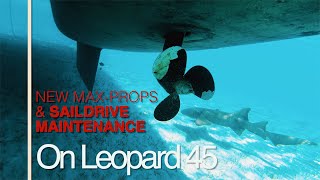 MaxProps and Proper Saildrive Maintenance on Leopard 45 Catamaran Ep30 [upl. by Lurette241]