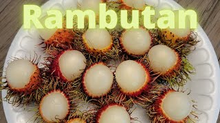 This Is How I Eat Rambutan Fruit [upl. by Yspyg]