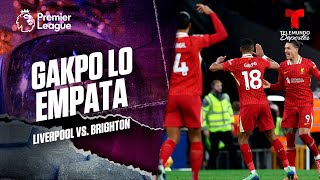 Gol de Gakpo para el empate Red  Liverpool vs Brighton  Premier League  Telemundo Deportes [upl. by Lattonia]