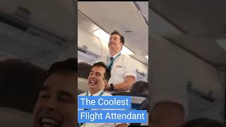 Meet the Coolest Flight Attendant on WestJet [upl. by Ahcas613]