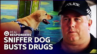 Sniffer Dog Cracks Down On Drug Smuggling  Territory Cops  Real Responders [upl. by Floro]