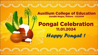 Auxilium BEd  Vellore  Pongal Celebration 2024  11012024 [upl. by Sheldon784]