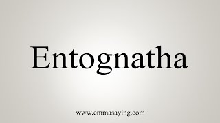 How To Say Entognatha [upl. by Gibbie804]