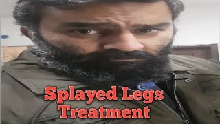 Splayed Legs Treatment  Lovebirds Breeding Tips [upl. by Adrahc149]