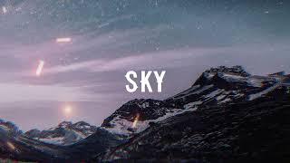 Alan Walker x AlexDy  Sky [upl. by Honorine]