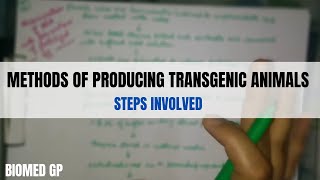 Methods of producing transgenic animals [upl. by Anatnahs]