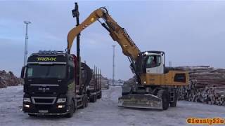 4K Liebherr LH60 Unloading Timber Trucks [upl. by Arihas]