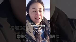 于月仙为何会坐上“死亡飞车”？3年后王小利一句话揭开真相，难怪赵本山不去参加葬礼于月仙 娱乐资讯 上热门 搞笑 明星八卦 電影 [upl. by Iamhaj]