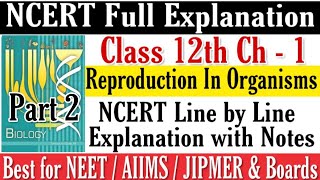 Reproduction in Organisms Class XII NCERT explanation for NEETAIIMSJIPMER amp Boards Part 2 [upl. by Phaih]