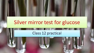 Silver mirror test for glucose [upl. by Kcirdet]