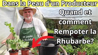 GrandPère Rempotait la Rhubarbe Comme Ça  Guide Complet du Rempotage [upl. by Ecahc]