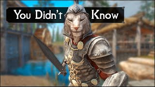 Skyrim 5 Things You Probably Didnt Know You Could Do  The Elder Scrolls 5 Secrets Part 21 [upl. by Nami61]