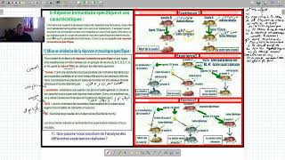 svt immunologie la reponse immunitaire specifique et ses caracteristiques [upl. by Sherill]