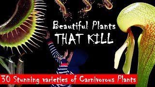 30 Stunning Varieties of Carnivorous plants  Beautiful plants that Trap and Kill [upl. by Broome6]