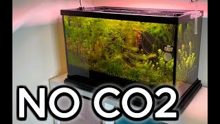 How To Grow Plants NO CO2 [upl. by Niatsirhc]