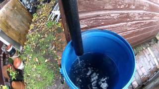 Halls Rainsaver in Action Collecting Rainwater [upl. by Newbill]