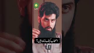 Ashab E Kahf Zinda Hain  Islamic Shorts  ViralVideo  IslamicShorts [upl. by Lacie695]