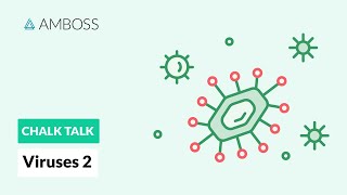 Viruses  Part 2 DNA vs RNA Viruses [upl. by Bowra]