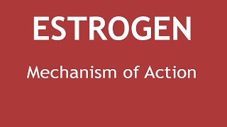 Mechanism of Action of Estrogen  Dr Shikha Parmar [upl. by Ienttirb]