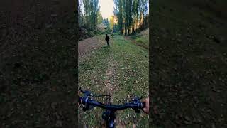 Shredding through the dry trails 🚵‍♂️🍂 MountainBiking TrailLife”redbull rampage mtblifestyle [upl. by Melody]