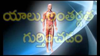 CT Scan Procedure Telugu [upl. by Marozas]