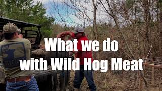 What we do with Wild Hog Meat [upl. by Ayotnom]