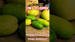 Cucurbita pepo।কধু shorts cocorbita [upl. by Kemppe]